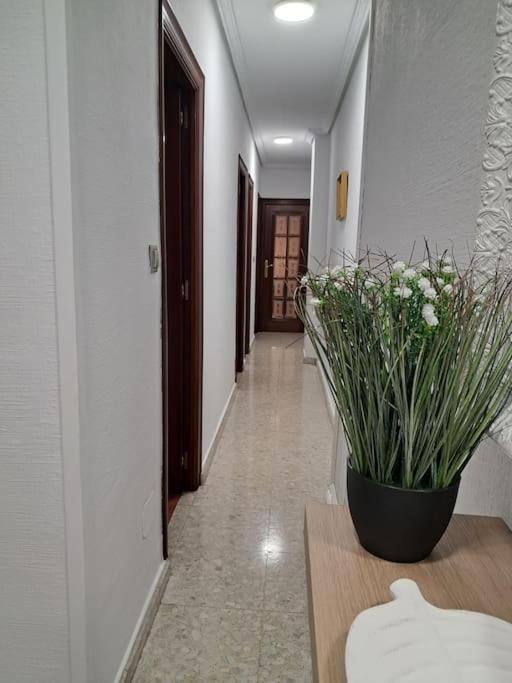 Comercio. Apartment